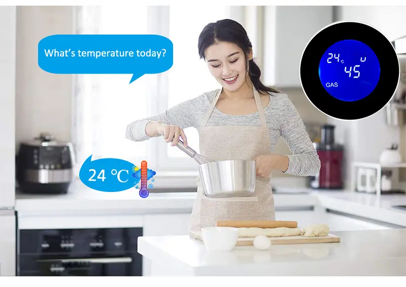 SONOFF_WiFi_LPG_Gas.webp